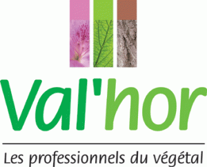 Logo_Valhor