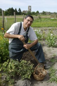 section potagers et fruitiers