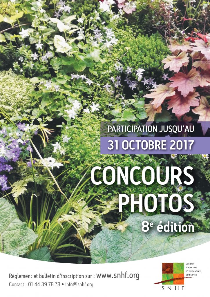 concours photos 2017