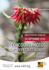concours photos cactées et succulentes