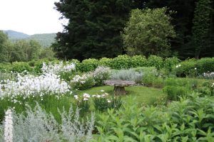 1er prix Bonpland 2013 // Jardin du Mas Maury-Haut