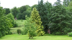 Jardin en devenir Prix Bonpland 2014 // Jardin de M. Beauvallet © F. Pernel 