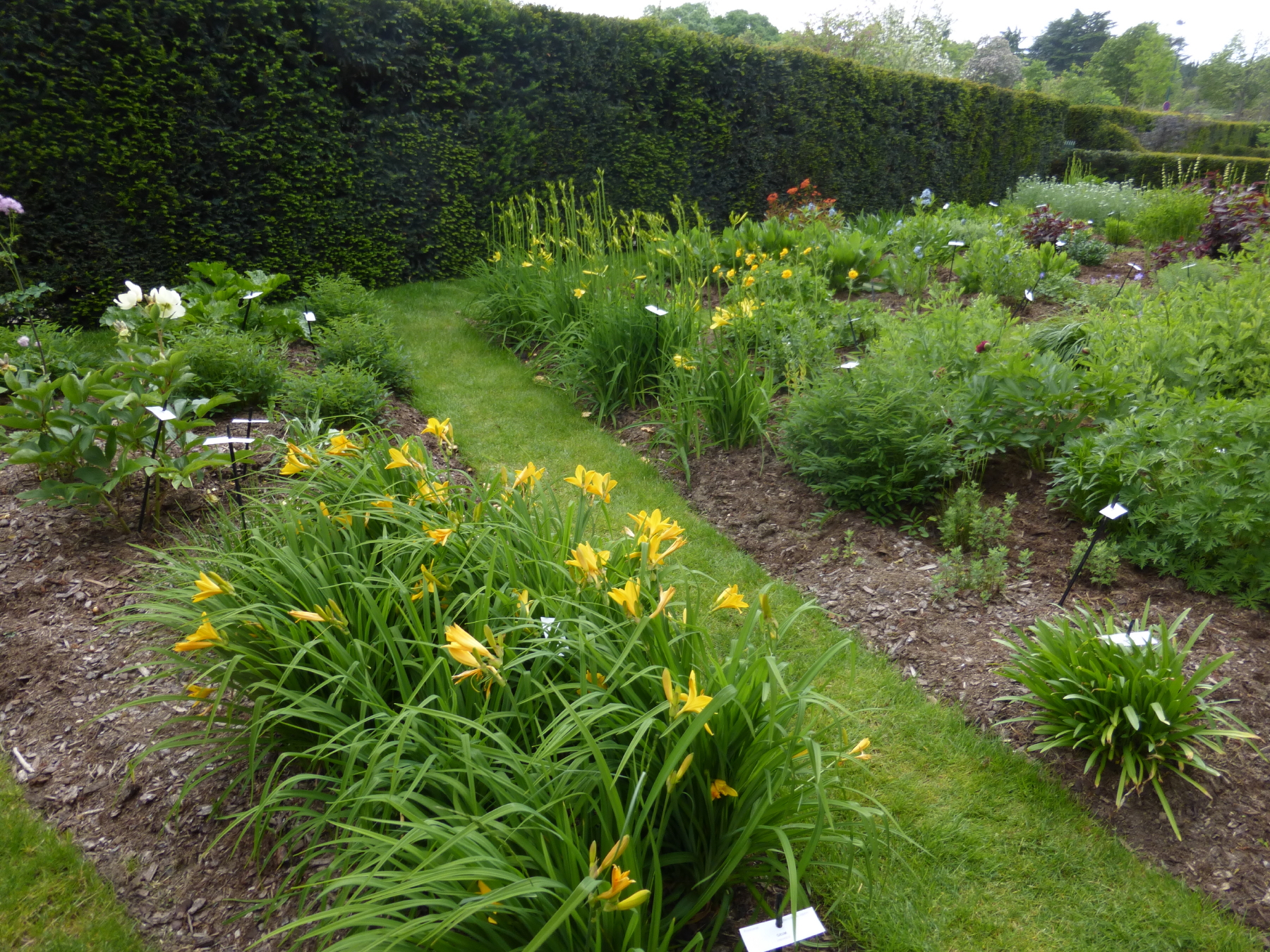 fruticetum de l’école du Breuil