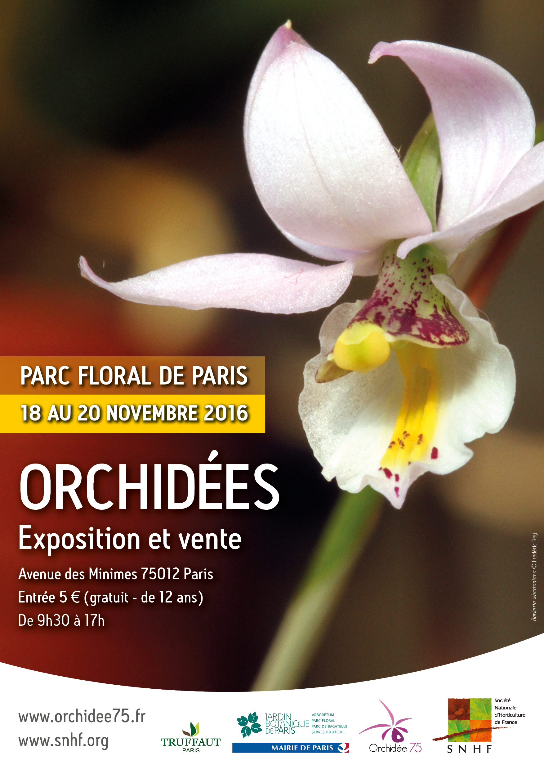 Affiche_orchidees_expo-vente_2016_VF.png