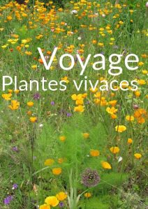 PLV voyage 1