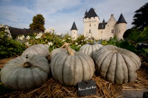 Potager de Gargantua, Château du Rivau