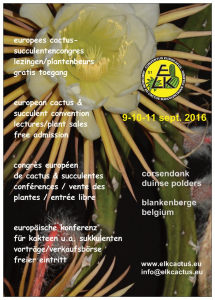 flyer 2016