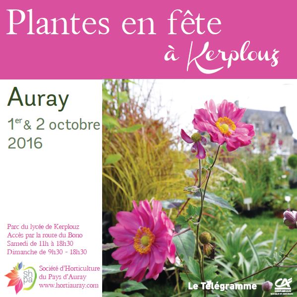 plantes en fêtes