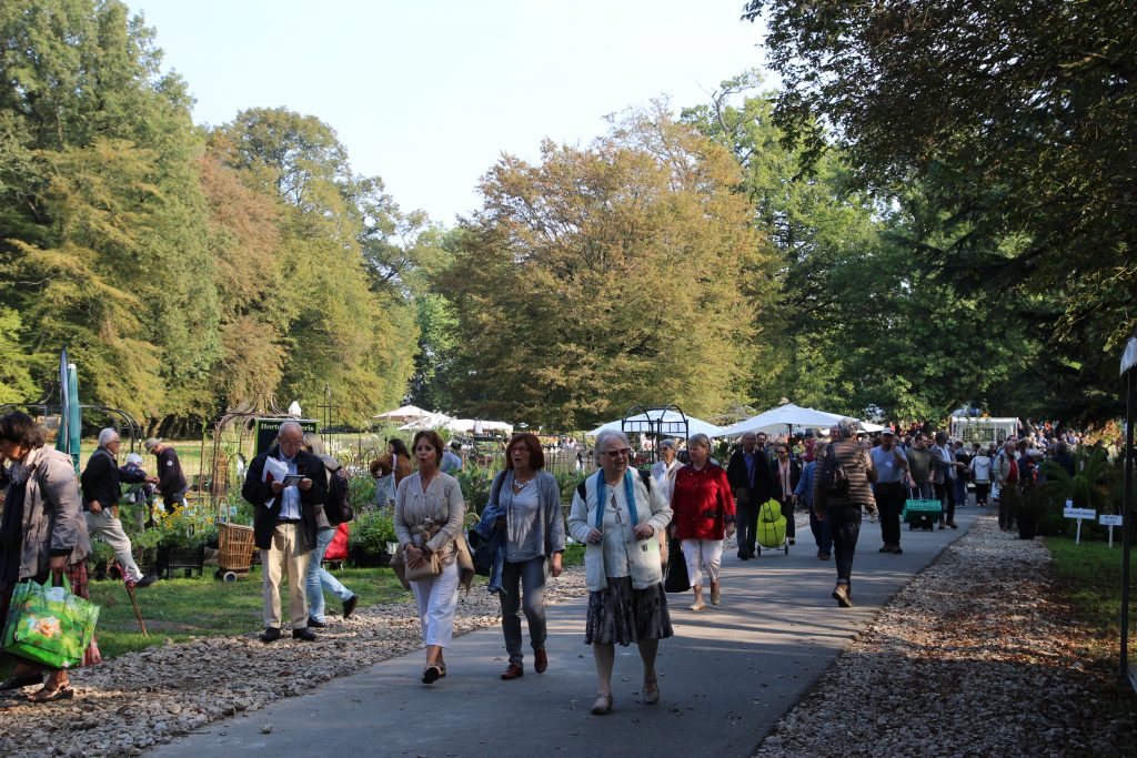 St-Jean_de_Beauregard_automne_ 2016_S.Royné