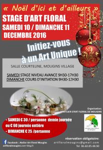 2016-12-stage-dart-floralles-10-et-11-12-2016