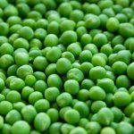 section potager essais petits pois