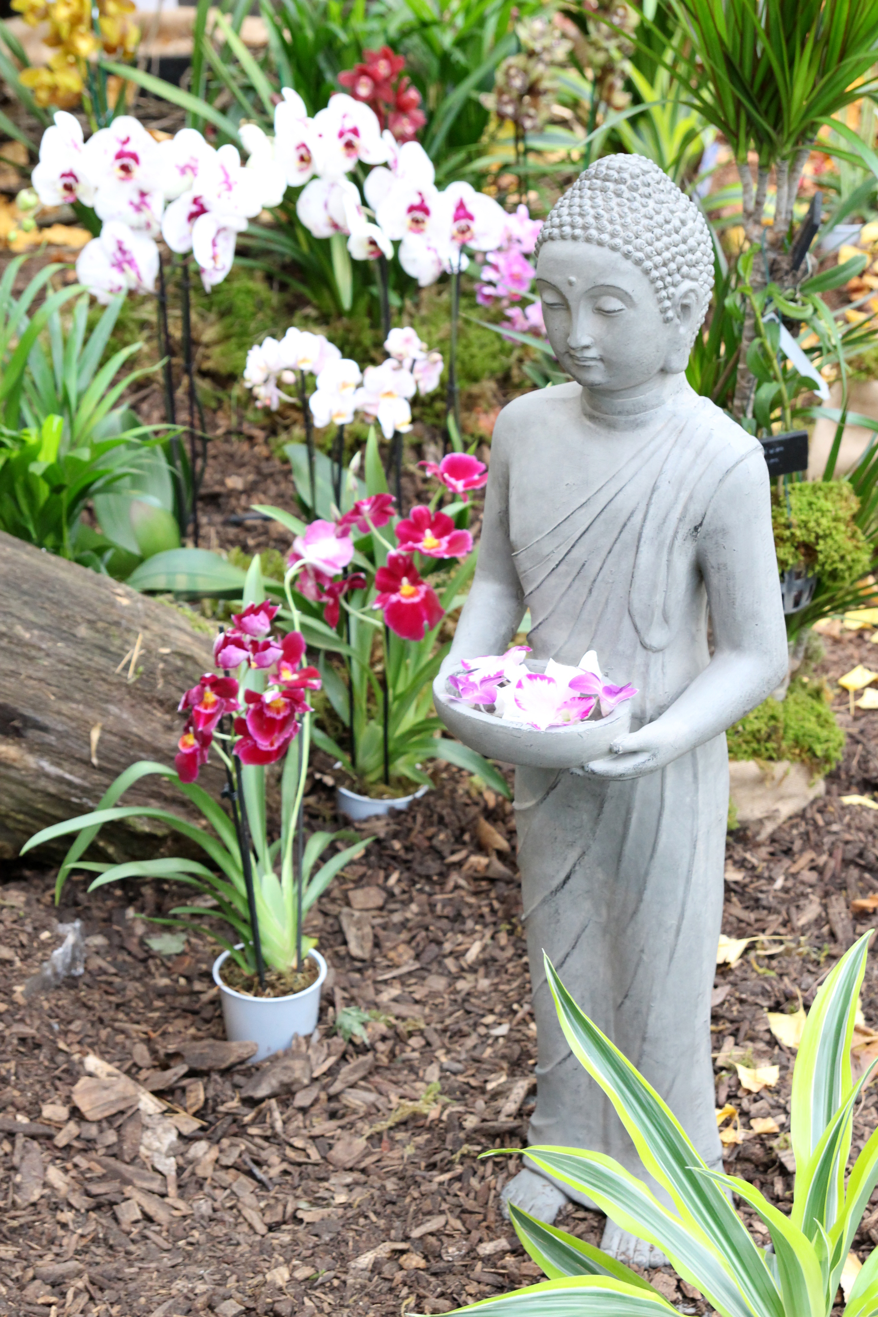 Orchidées expo-vente au Parc Floral