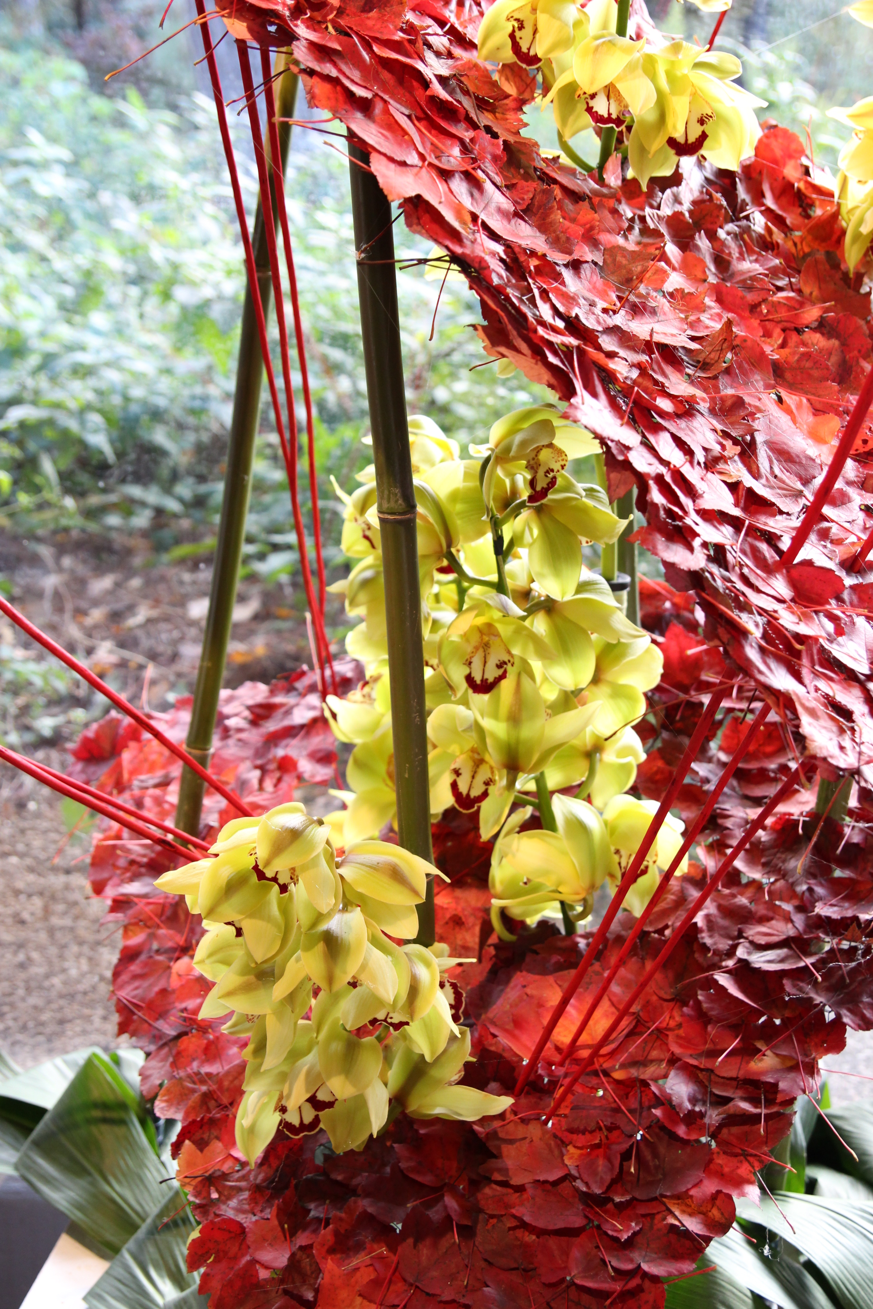 Orchidées expo-vente au Parc Floral