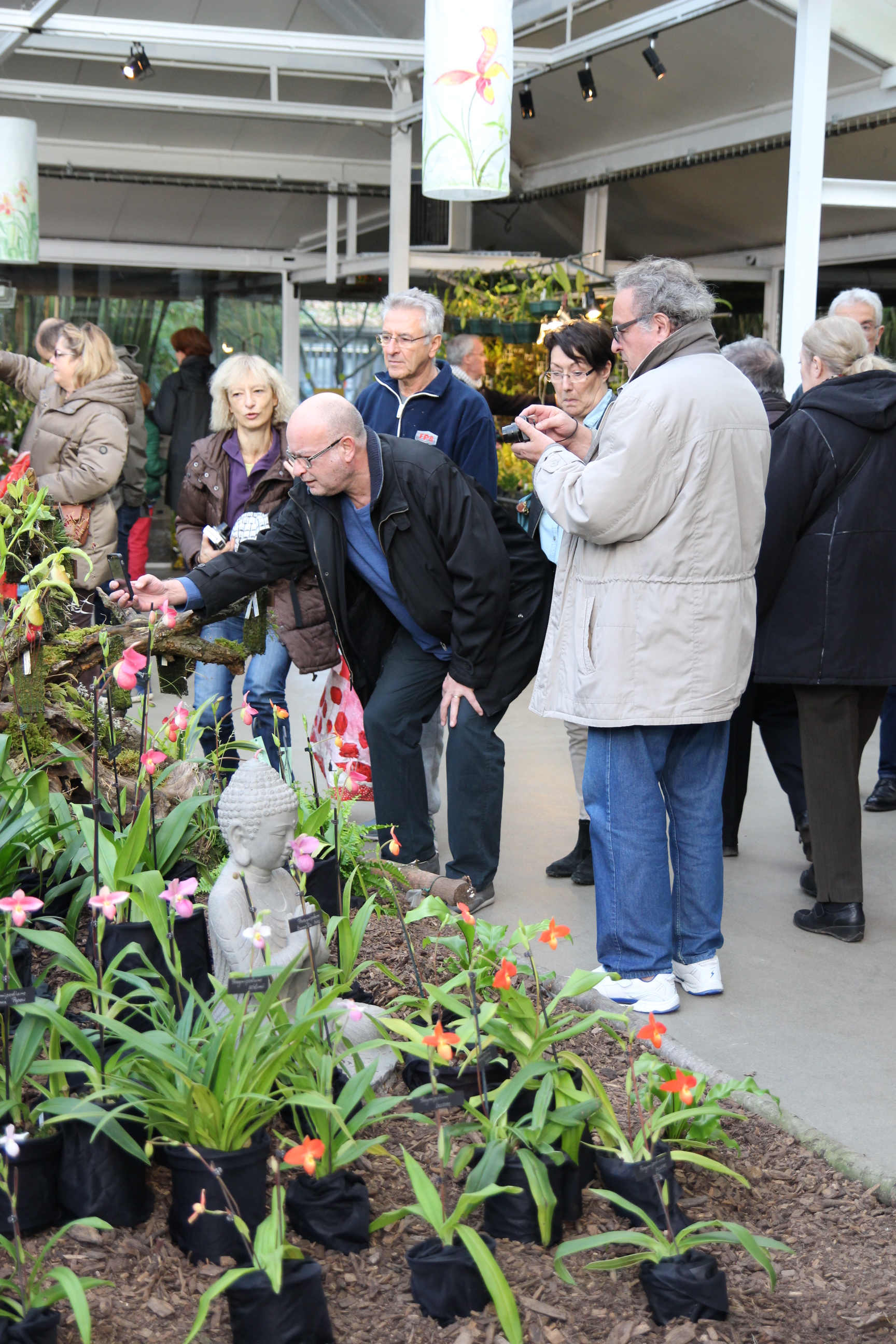 Orchidées expo-vente au Parc Floral