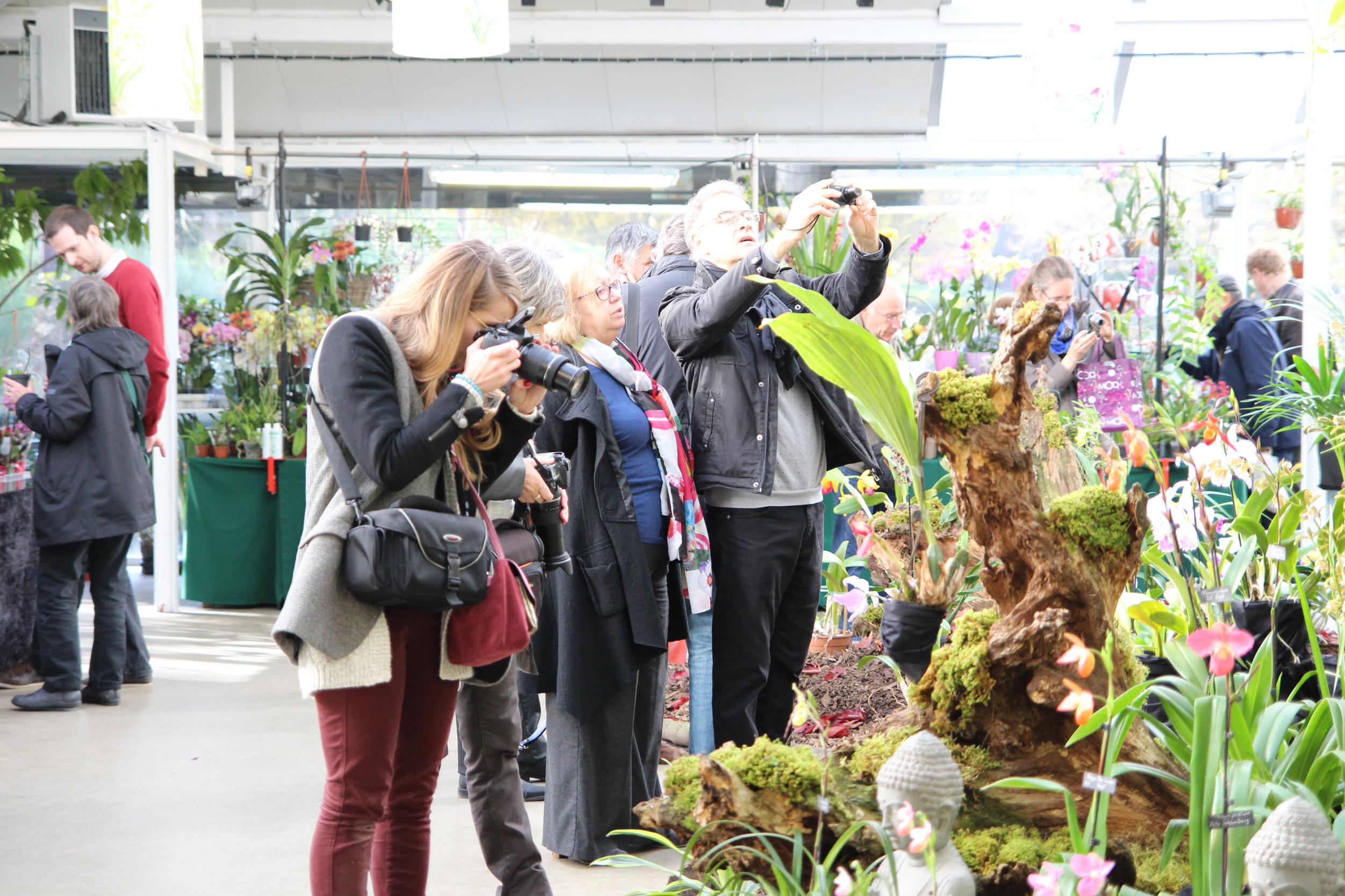 Orchidées expo-vente au Parc Floral