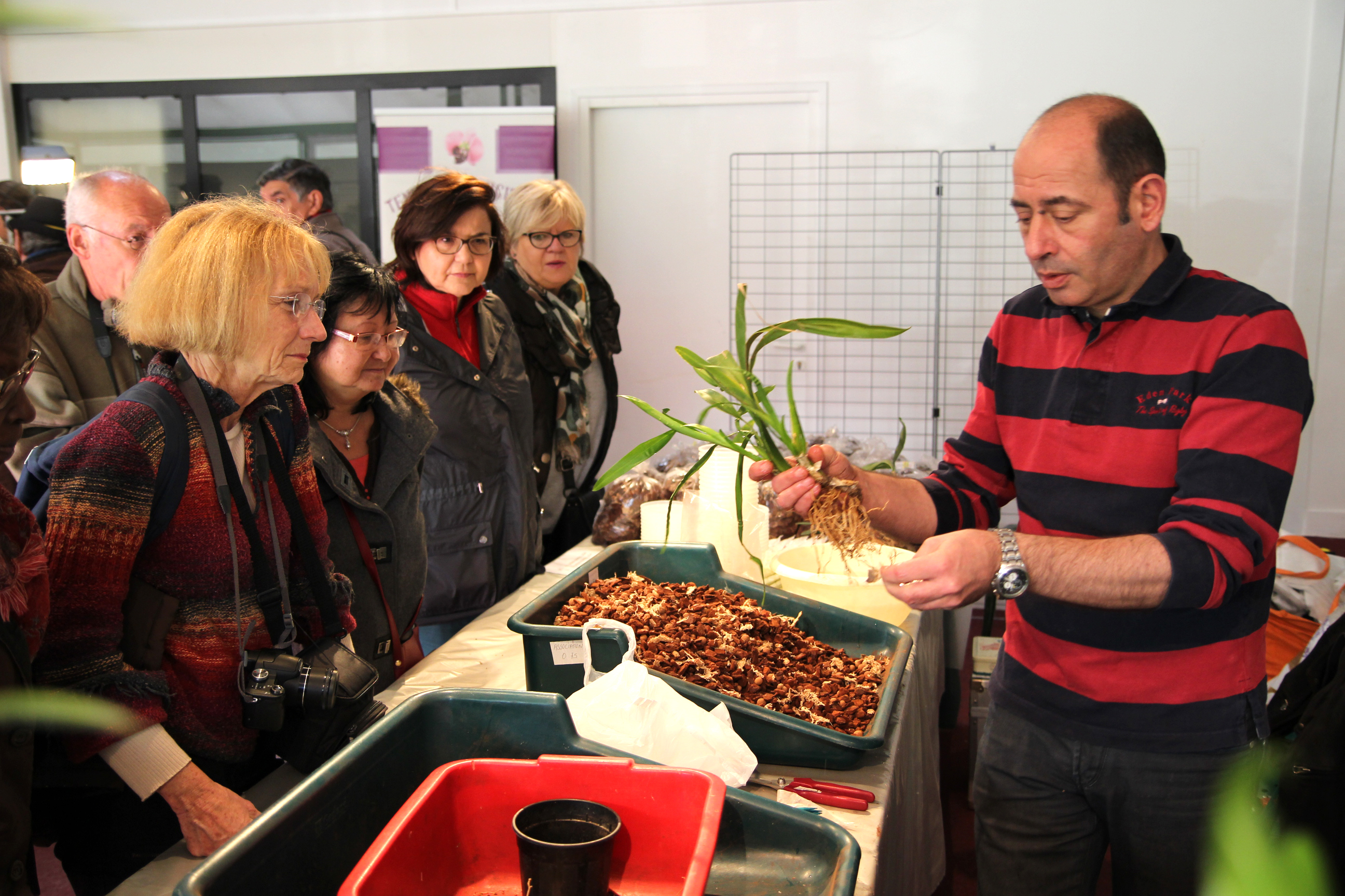 Orchidées expo-vente au Parc Floral