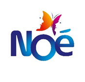 noe