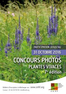 Les lauréats 2016 du concours photos plantes vivaces