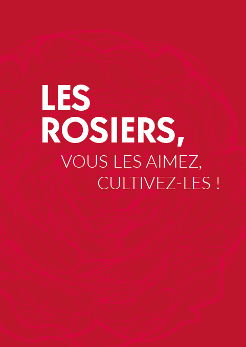 Les rosiers, vous les aimez, cultivez-les