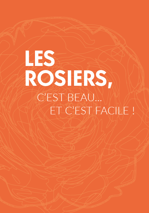 Les rosiers c'est beau et c'est facile