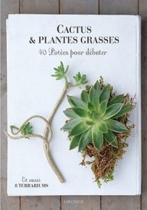 publications succulentophiles