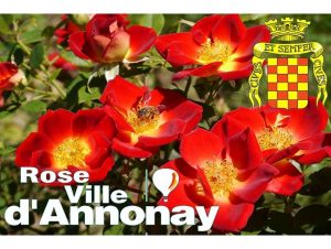 Rose Ville D'Annonay