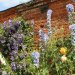 Mottisfont Abbey