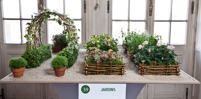 Le jardin miniature - Société Nationale d'Horticulture de France