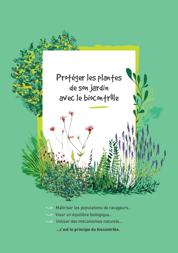 Les plantes de couverture - Intérêts