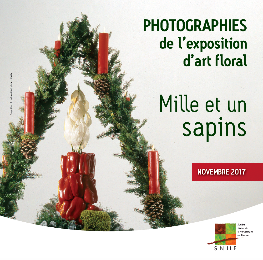 1001 sapins, le CD