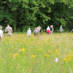 En 2018, partez avec la SNHF à la découverte de jardins exceptionnels