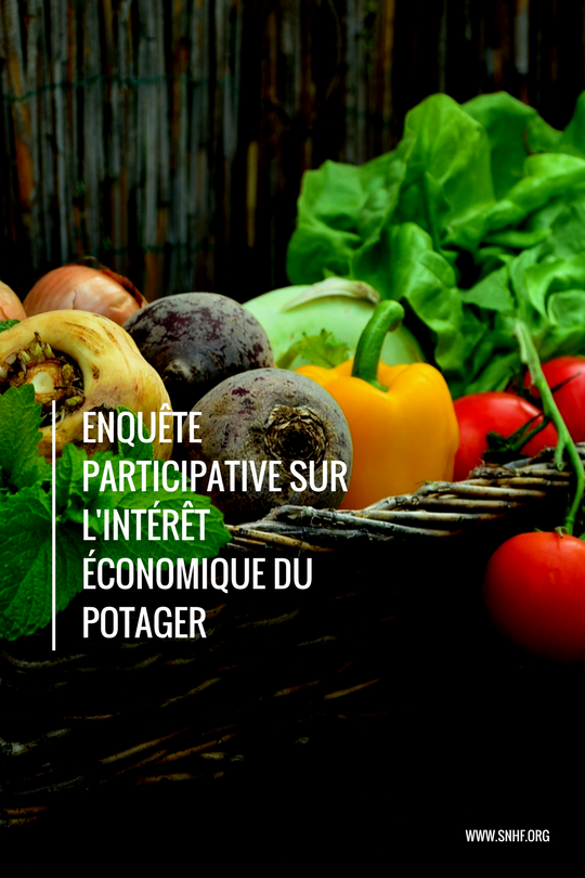 Enquête participative sur l'intérêt économique du potager