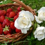 Confiture de rose et de fraises