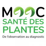 MOOC santé des plantes