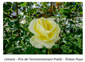 Limona - Prix de l’environnement Public - ©Jean Puyo