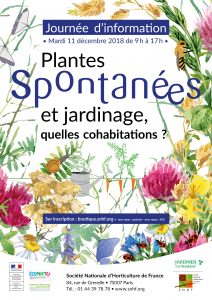Plantes spontanées - Affiche