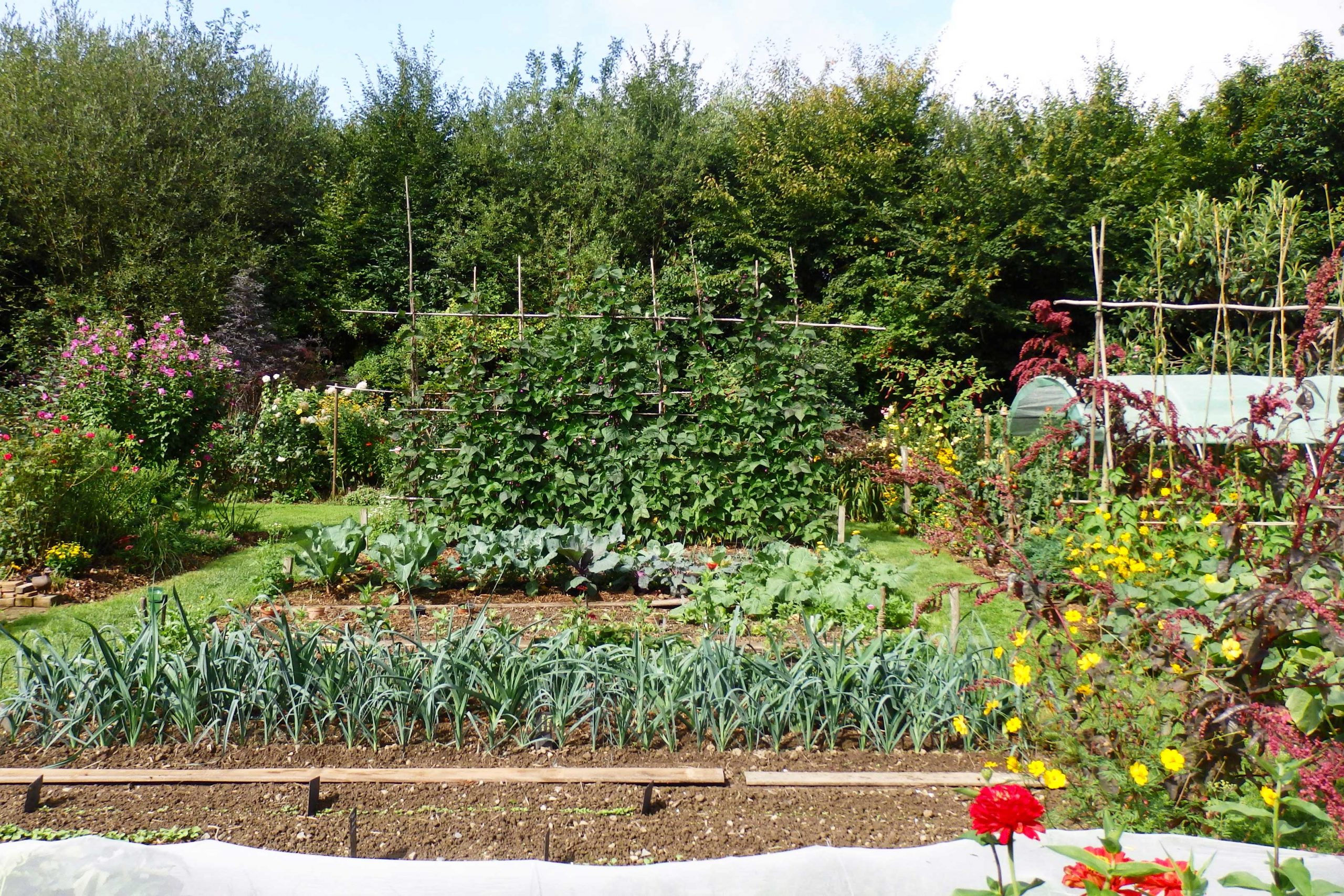Comment Faire Schéma Organisation Tuyaux Poreux Dans Jardin Potagé CNJP20] PALMARÈS DES LAURÉATS DU CONCOURS NATIONAL DES JARDINS POTAGERS -  Société Nationale d'Horticulture de France
