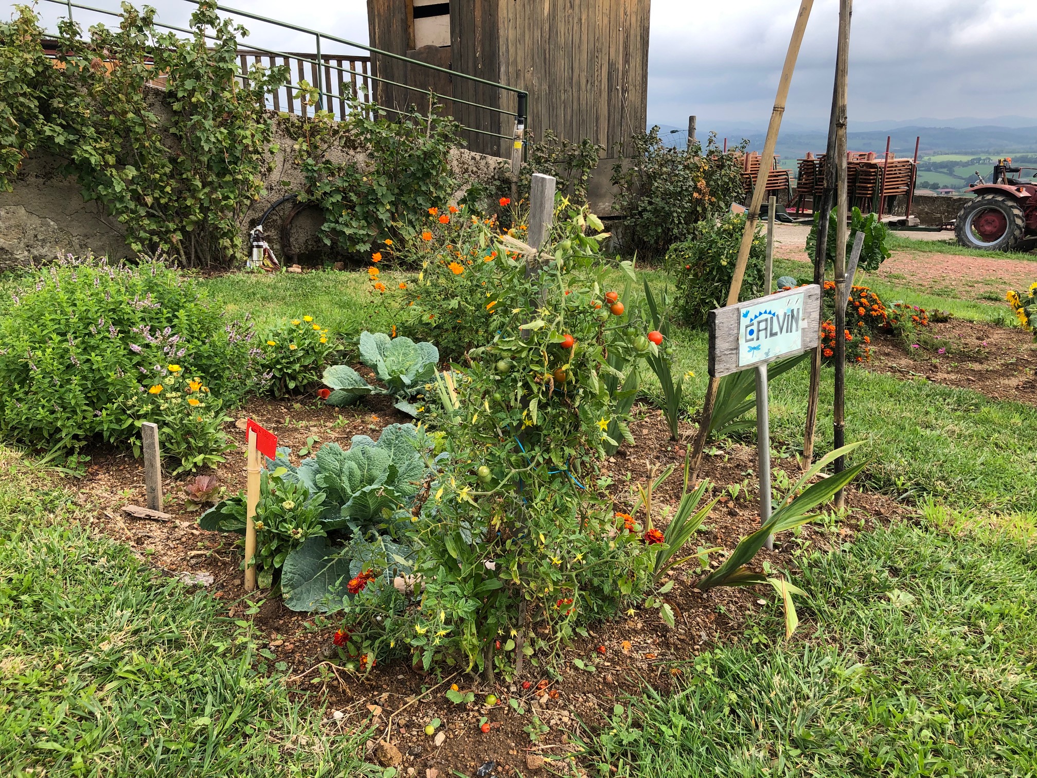 Pluviomètre de jardin à planter - La Bonne Graine