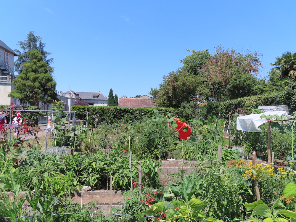 concours national des jardins potagers Archives - Société Nationale  d'Horticulture de France