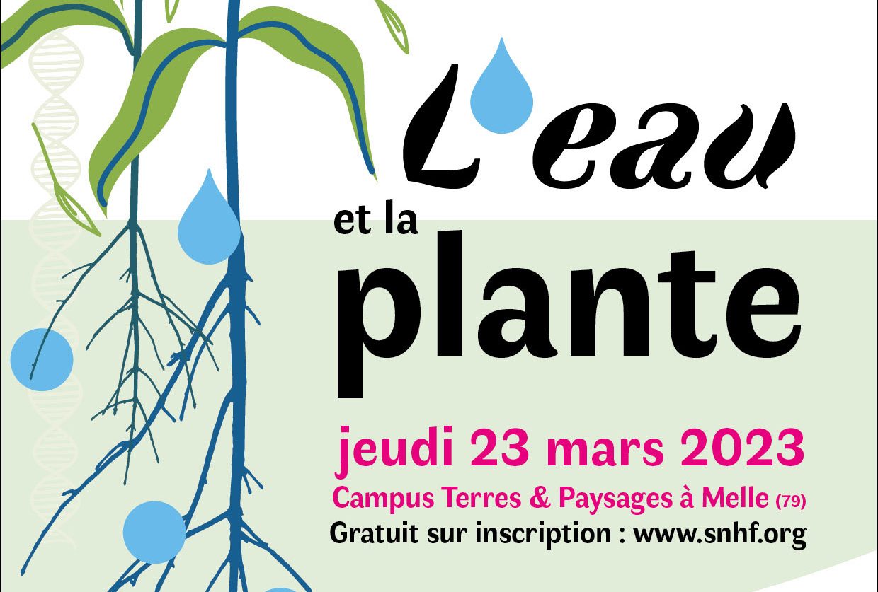 Intens Sandet Vag L'eau et la plante, une journée de conférences et d'échanges à Melle -  Société Nationale d'Horticulture de France