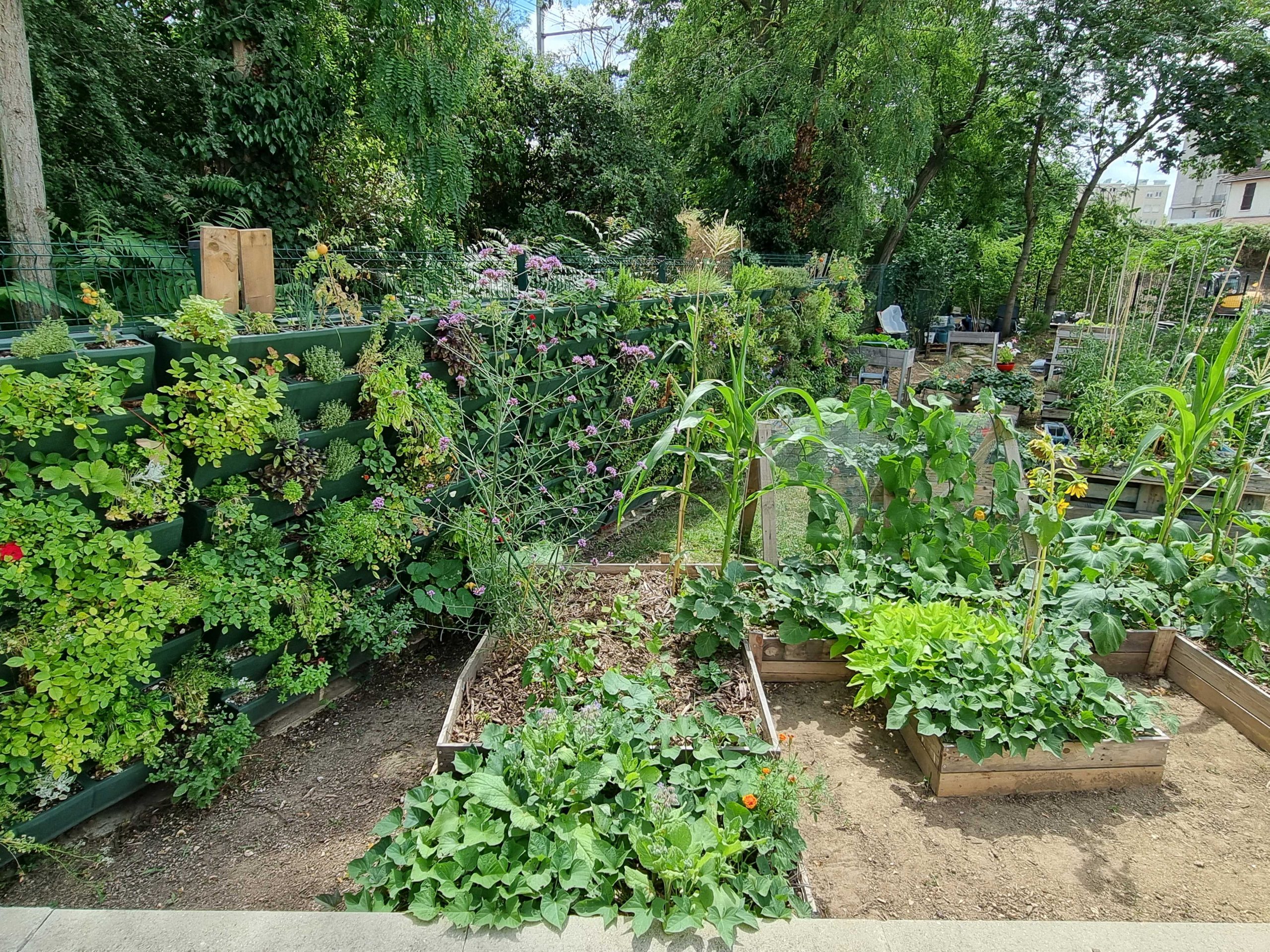 Catalogue d'ornement de jardin. Contient plusieurs dizaines de décorations  et curiosités pour les éxtérieurs.